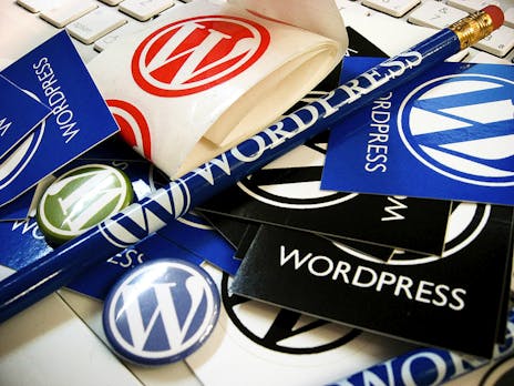 CMS-Marktführer: Jede vierte Website läuft auf WordPress