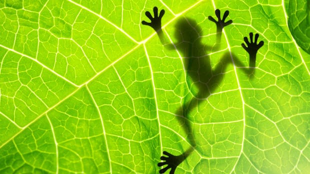 Screaming Frog: So nutzt du das SEO-Tool optimal