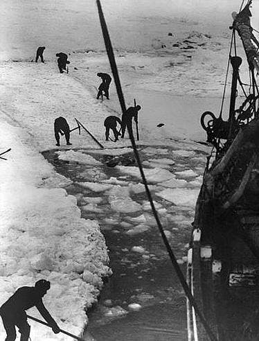 shackleton1