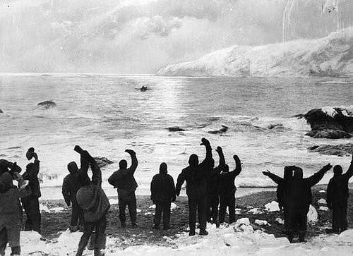 shackleton5