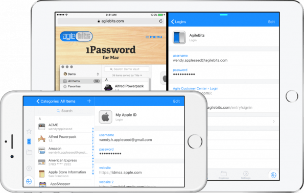 1Password 6 für iOS versteht sich jetzt auch auf das Querformat. (Bild: AgileBits)