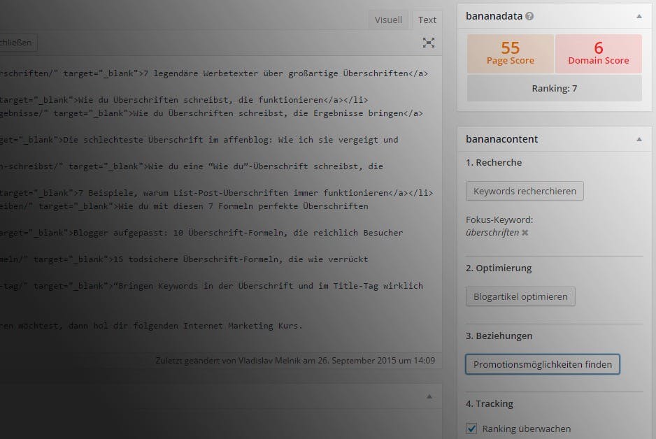 wordpress seo plugin bananacontent 13