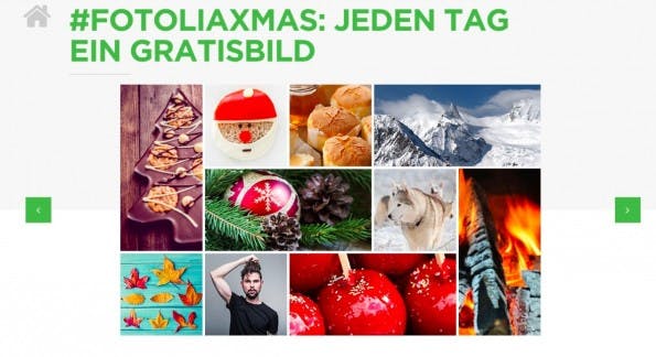 Fotalia Kalender