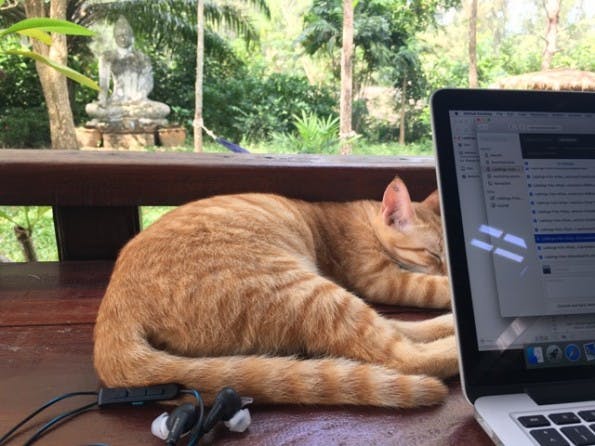 Github in Great Company (Foto: Julia Kallenberg)