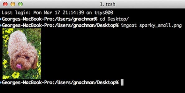 Terminal-Emulator für OS X: Die Beta von iTerm2 Version 3 steht zum Download bereit. (Screenshot: iTerm2)