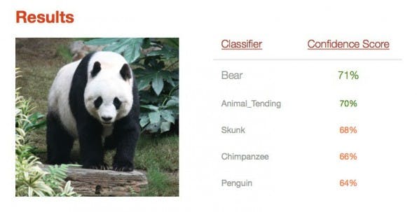 IBM Watson: Großer Panda als Bär erkannt. (Screenshot: Visual Recognition/t3n.de)