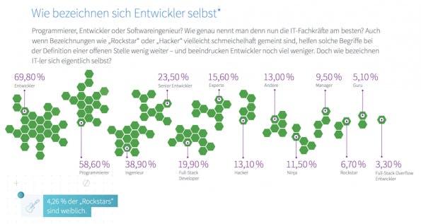 Entwickler wollen Entwickler genannt werden und nicht Gurus oder Rockstars. (Quelle: Stack Overflow)