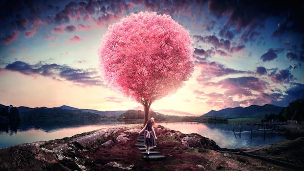 Photoshop: 6 Tipps, mit denen du deine PSD-Datei verkleinerst