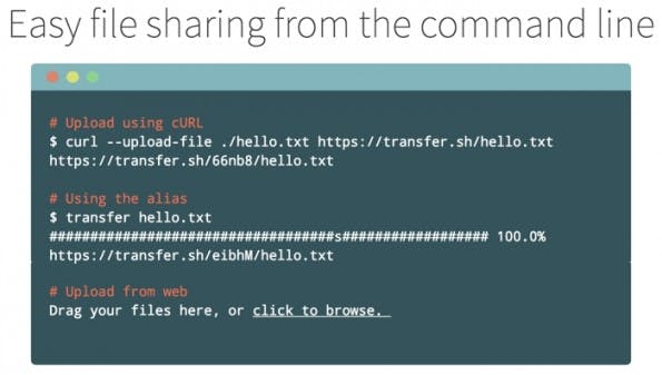 Filesharing: Mit cURL Daten schnell bereitstellen. (Screenshot: transfer.sh)