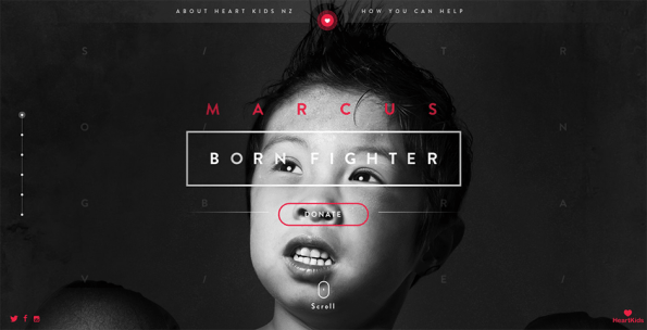 Born Fighter via awwwards