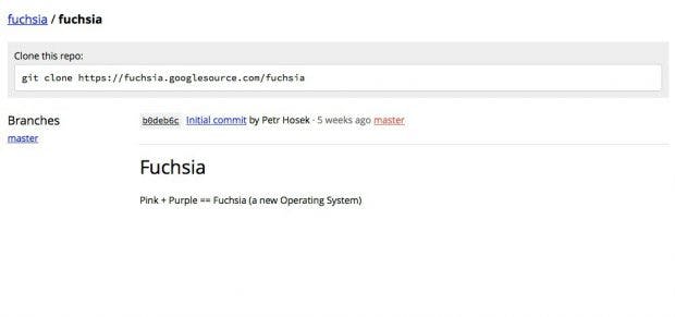 Fuchsia: Neues Google-Betriebssystem ist Open Source, aber Linux-frei. (Screenshot: Google)