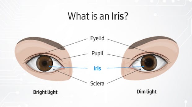 Iris-Scan: Ist das neue Verfahren sicherer als ein Fingerabdruck?