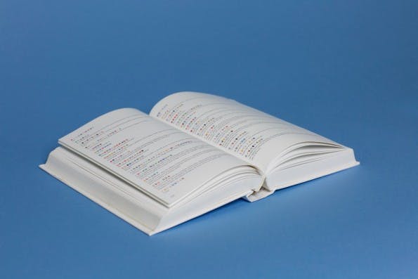 Weltliteratur mal anders: Diese Ausgabe von „Moby-Dick“ wurde in Emojis übersetzt. (Foto: Fred Benenson)