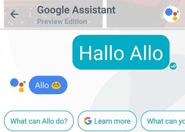 Der Google Assistant sagt in Allo brav „Hallo“. (Screenshot: t3n)