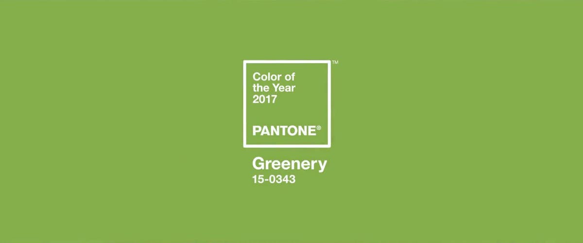 Pantone 15 0343 Die Ultimative Trendfarbe Im Nachsten Jahr