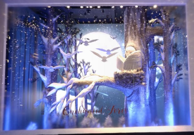 Zum Träumen! (Screenshots: Google Window Wonderland)