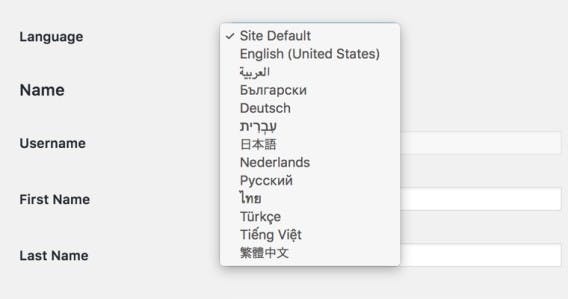 Die Backend-Sprache kann nun auf Benutzerebene eingestellt werden. (Screenshot: About-Seite einer eigenen WordPress-Installation)
