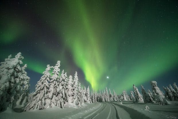Das Original-Foto von Tiina Törmänen wurde raubmordkopiert. (Foto: Tiina Törmänen)