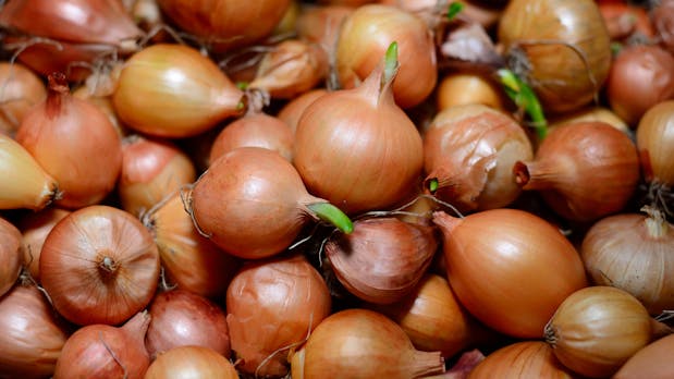 The Hitchhiker’s Guide to the Darknet: Hier sind alle 1.208.925.819.614.629.174.706.176 möglichen Onion-Adressen