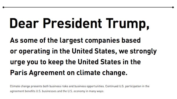 Von Apple bis SpaceX: Tech-CEOs kritisieren Trumps geplanten Ausstieg aus Klimaabkommen
