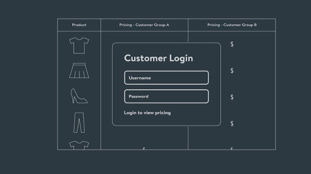 Shopwares großer Wurf: Individuelle Entwicklungen mit einem B2B-Framework