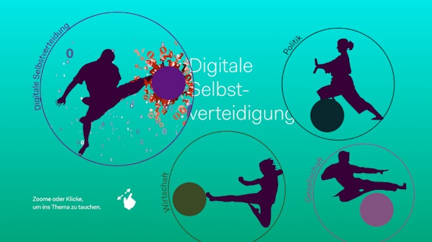 Privatsphäre im Netz: So gelingt die digitale Selbstverteidigung