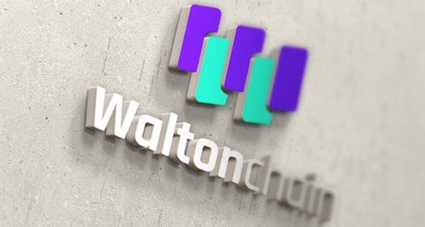 Waltonchain: Wie ein Tweet die Kryptowährung zum Absturz brachte