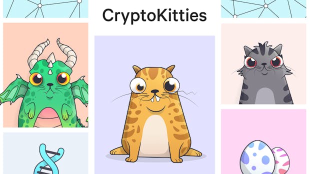 Cryptokitties erhält Investment in Höhe von 12 Millionen Dollar