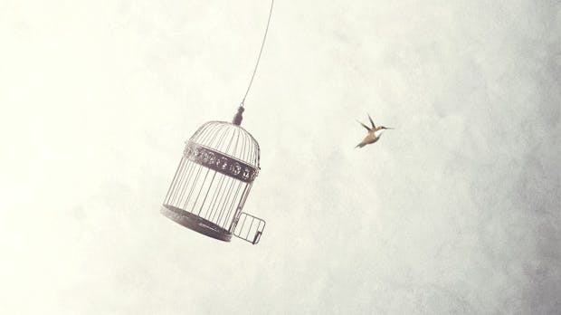 Web 3 – der Anfang vom Ende der Plattformökonomie ist dezentral