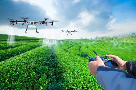 Digitalisierung in der Landwirtschaft: Was jetzt schon möglich ist