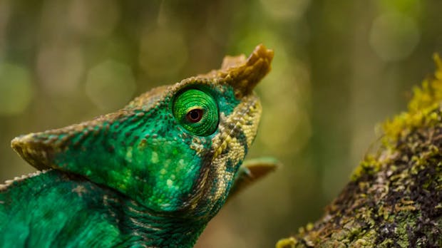 Suse geht für 2,5 Milliarden Dollar an schwedischen Investmentfonds