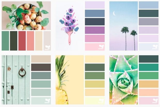 Design Seeds auf Instagram