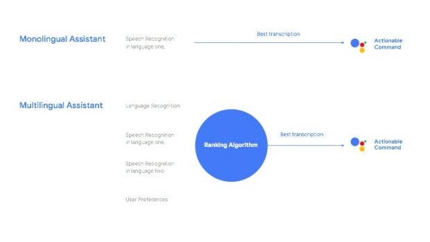 Die bilinguale Funktion des anhand einer Grafik erläutert. (GrafiK: Google)