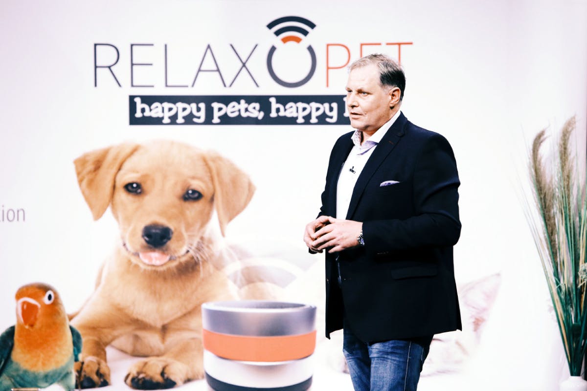 Frank Bendix von Relaxopet (Foto: MG RTL D)