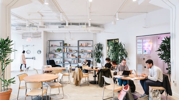 Wework: Milliardenschwerer Börsengang laut Insidern schon im September