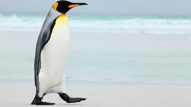 Microsofts exFAT-Dateisystem landet offiziell im Linux-Kernel