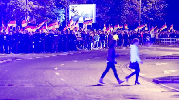 Posts und Vorurteile: Dein Newsfeed kann nichts für die AfD