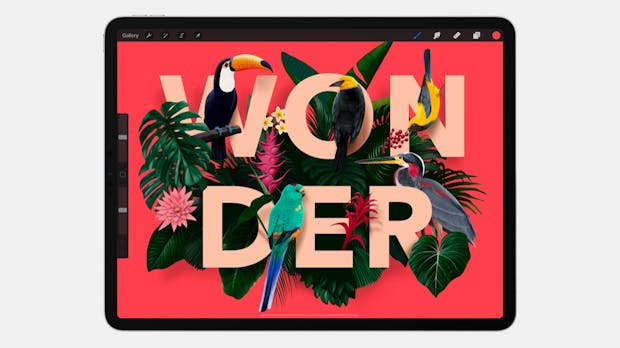 Illustration auf dem iPad – Procreate 4.3 bringt Textwerkzeug