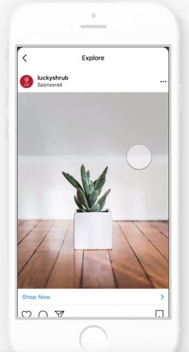 Instagram bietet Entdecken-Bereich für Werbung an
