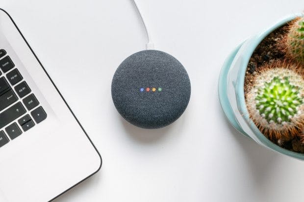 Google Assistant im Google Home. (Foto: Shutterstock)