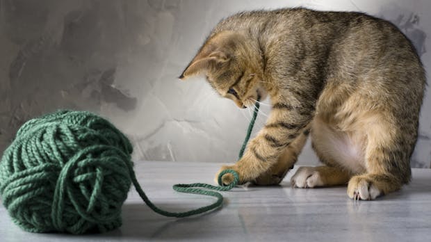 Yarn 2 kommt mit interessanten neuen Features