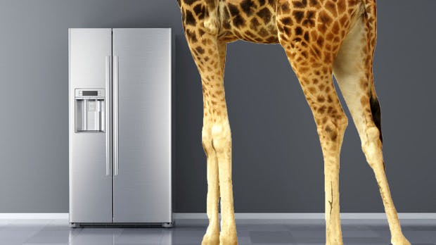 Brainteaser im Vorstellungsgespräch: eine Giraffe, ein Elefant und ein Kühlschrank