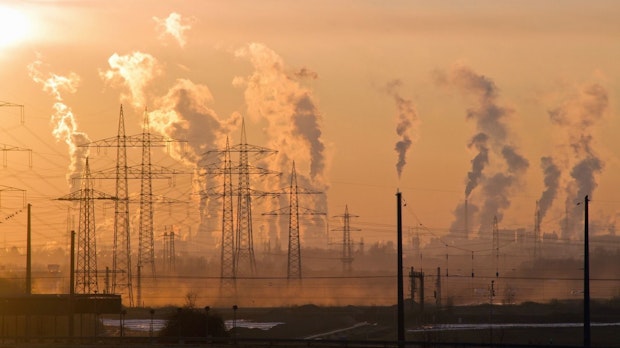 So macht Ecosia Klimazerstörer in den Suchergebnissen sichtbar