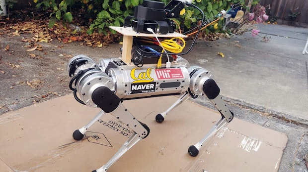 KI macht Blindenhund ersetzbar: Robodogs führen besser, sagen Forscher