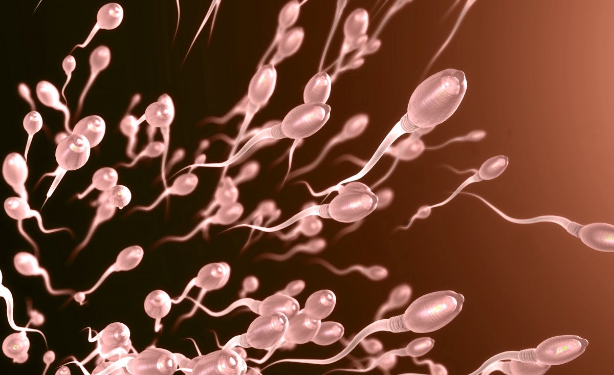 Reproduction in space: sperm resists cosmic rays Reproduction in space: sperm resists cosmic rays